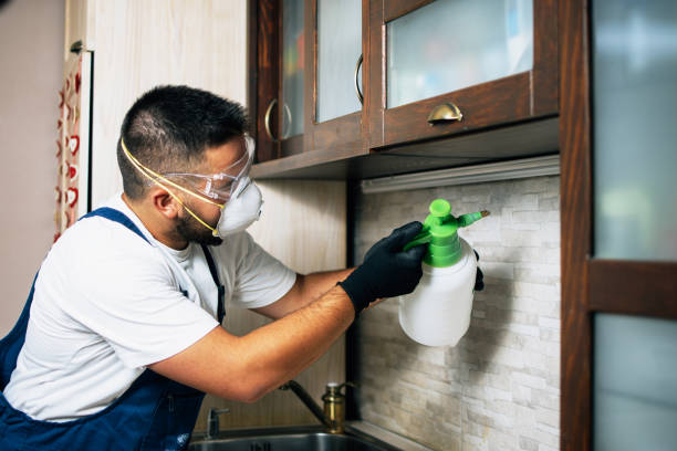 Best Bed Bug Extermination  in Falmouth, VA