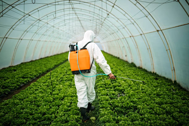 Best Commercial Pest Control Services  in Falmouth, VA