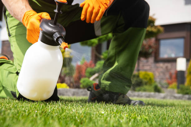 Best Wasp Removal Services  in Falmouth, VA