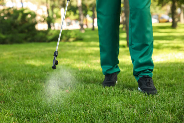 Best Mosquito Control Services  in Falmouth, VA