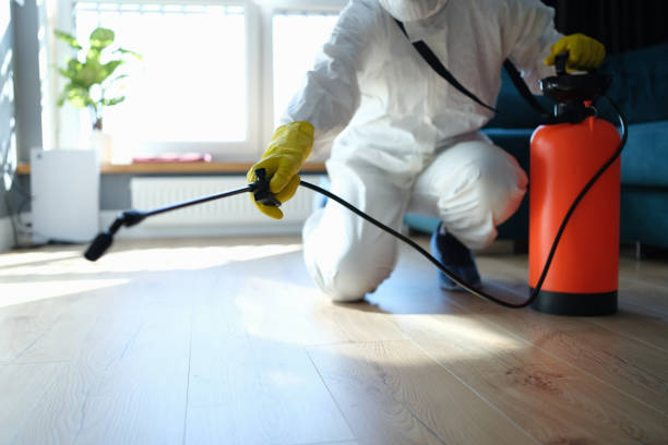 Best Residential Pest Control  in Falmouth, VA