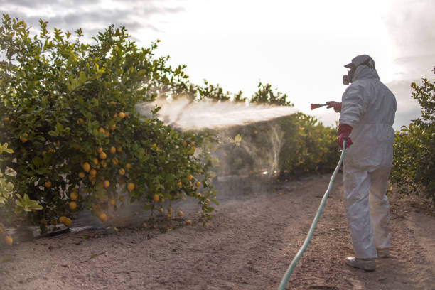 Best Affordable Pest Control Services  in Falmouth, VA