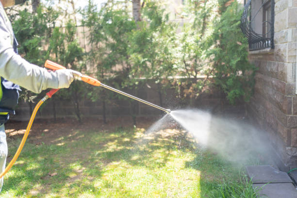 Best Wildlife Control Services  in Falmouth, VA