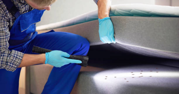 Pest Control for Restaurants in Falmouth, VA