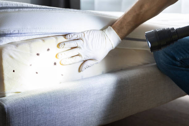 Best Best Pest Control Companies  in Falmouth, VA