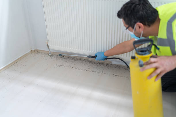 Best Emergency Pest Control  in Falmouth, VA